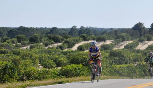 Pascale Lercangee at the Bike Sebring 24 race event