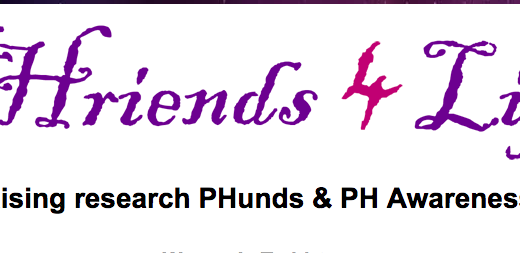 PHriends 4 Life logo